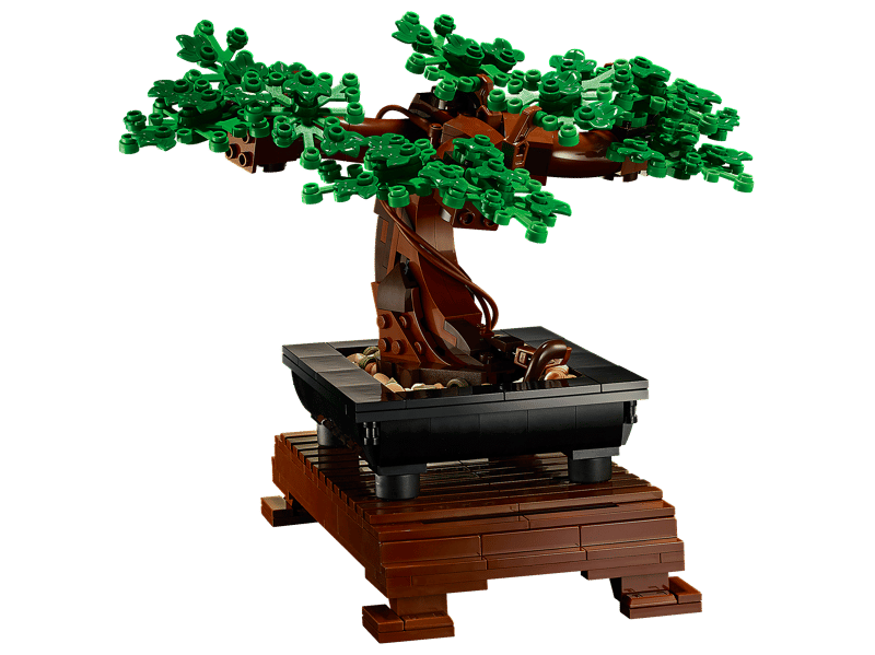 Bonsaiboompje - 6