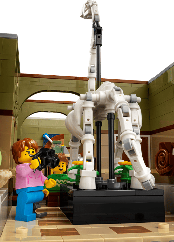 Natuurhistorisch museum - 4