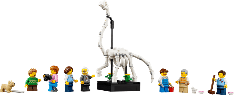 Natuurhistorisch museum - 9