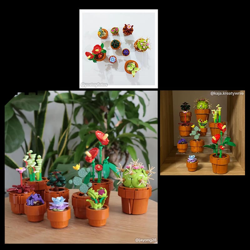 Miniplantjes - 10