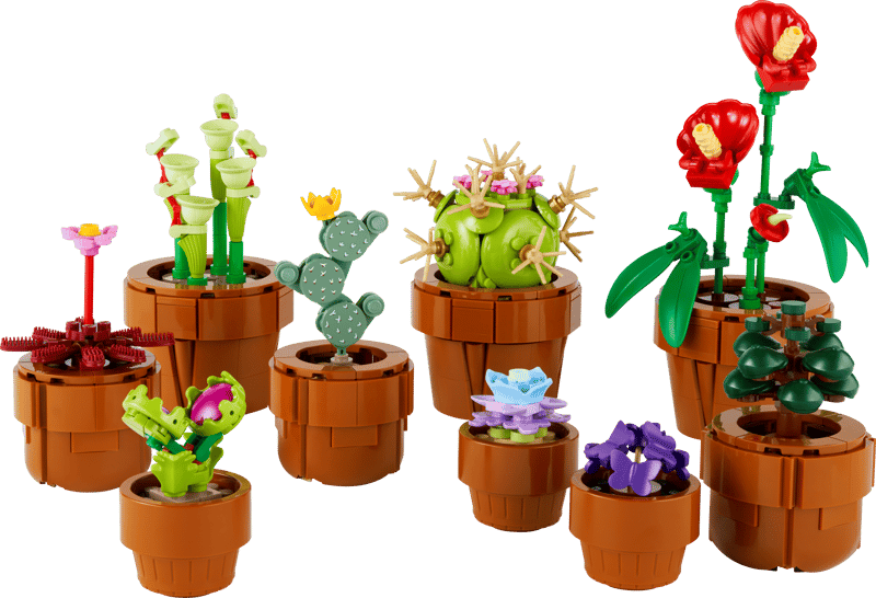 Miniplantjes - 8