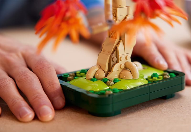 Japanse esdoorn bonsaiboompje - 14