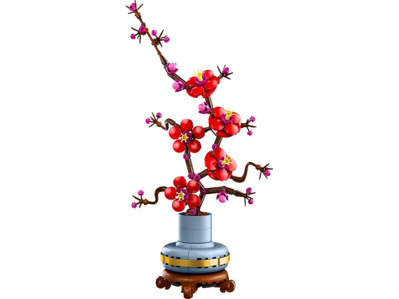 Japanse esdoorn bonsaiboompje - 6