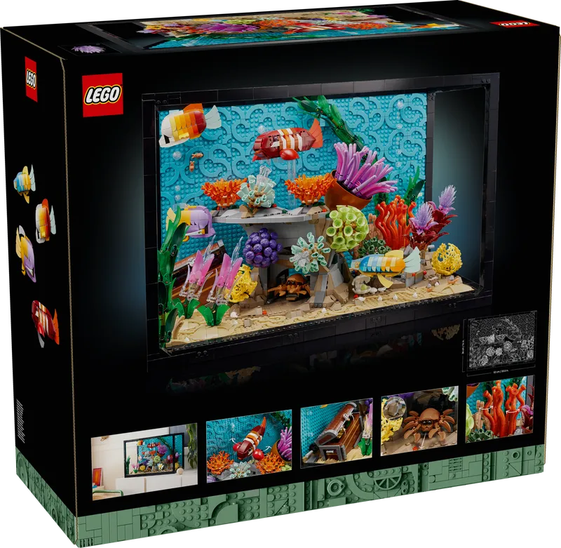 Tropisch aquarium - 11