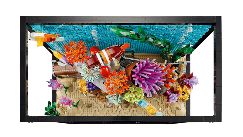 Tropisch aquarium - 4