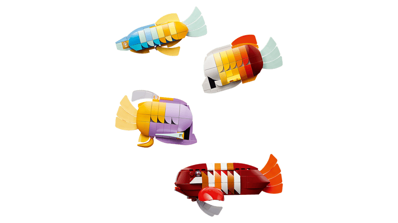 Tropisch aquarium - 5