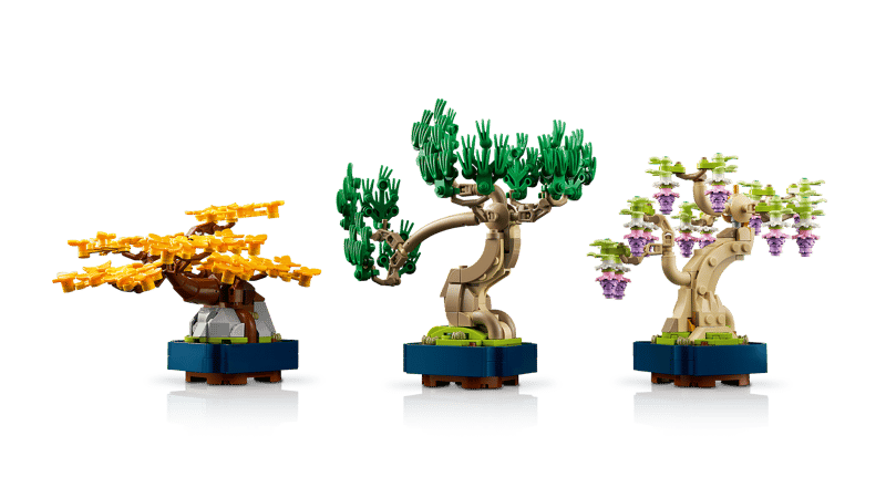 Mini bonsaiboompjes - 3