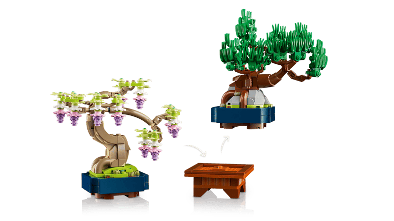 Mini bonsaiboompjes - 5