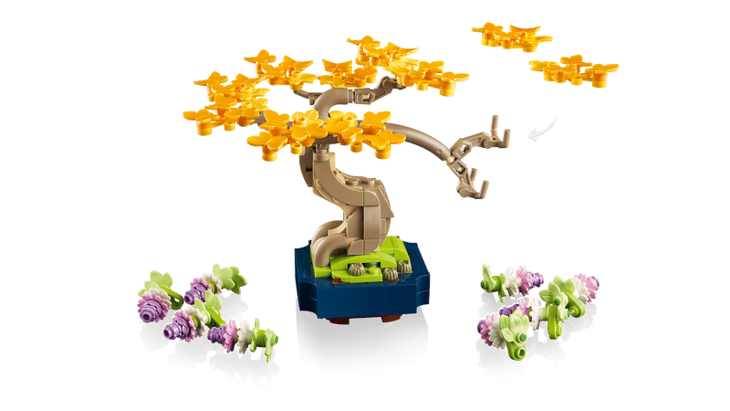 Mini bonsaiboompjes - 6