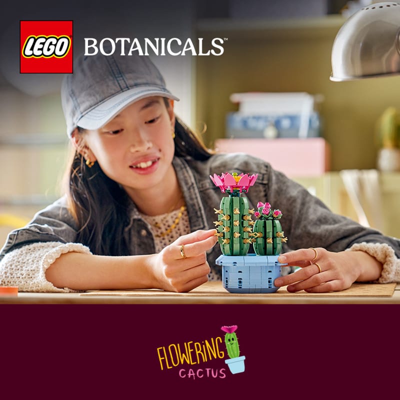 Bloeiende cactus - 11