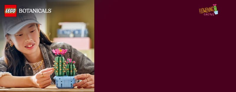 Bloeiende cactus - 12