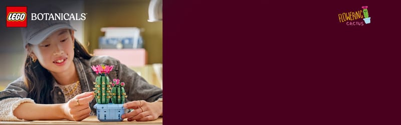 Bloeiende cactus - 13