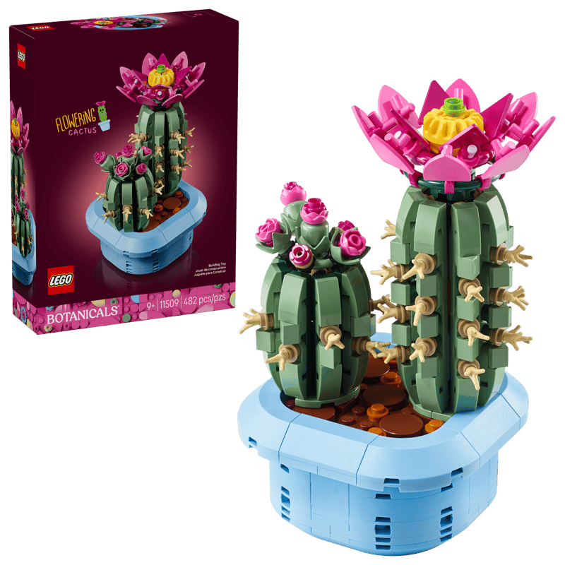 Bloeiende cactus - 2