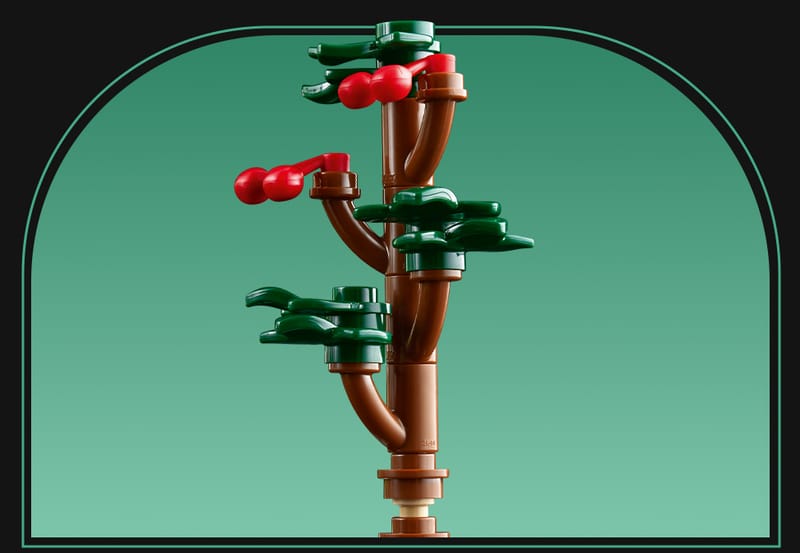 De botanische tuin - 13