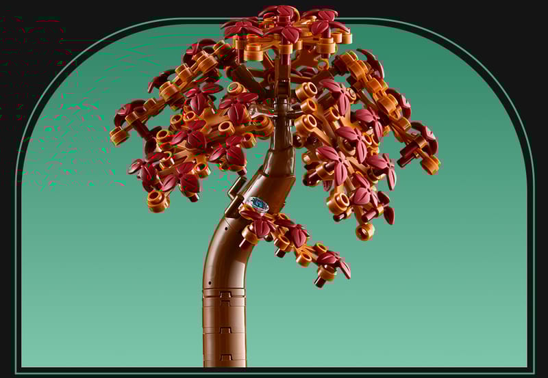 De botanische tuin - 14