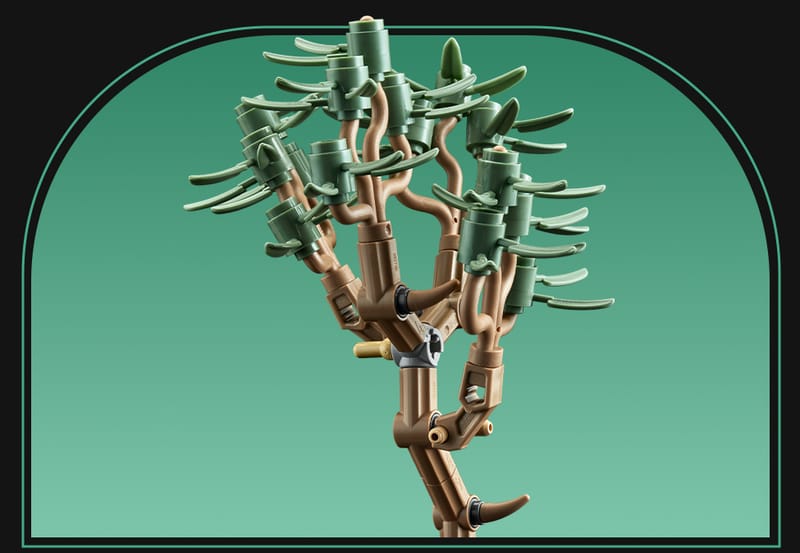 De botanische tuin - 15