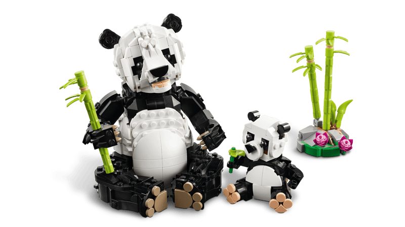 Wilde dieren: pandafamilie - 5