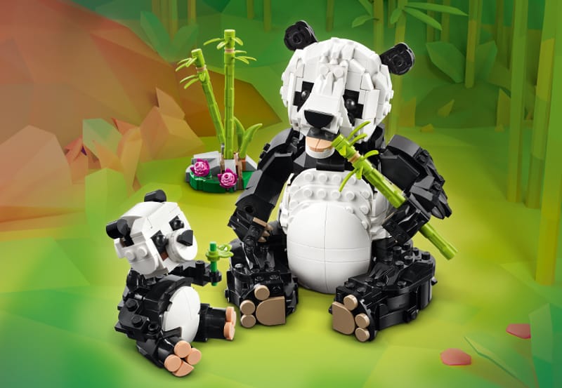 Wilde dieren: pandafamilie - 7