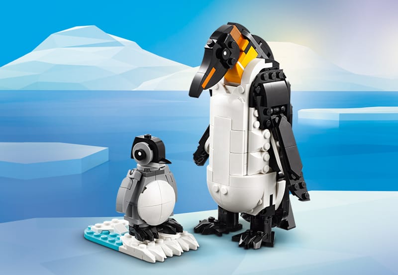 Wilde dieren: pandafamilie - 9