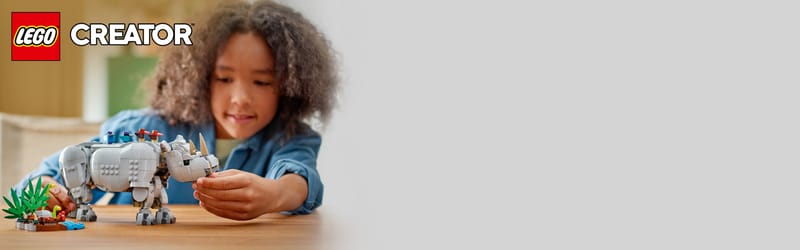 Wilde dieren: machtige neushoorn met vog - 12