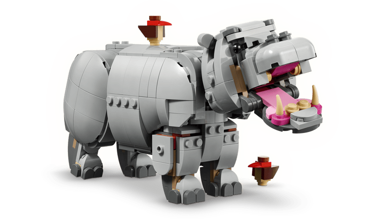 Wilde dieren: machtige neushoorn met vog - 3