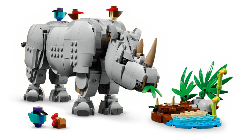 Wilde dieren: machtige neushoorn met vog - 5