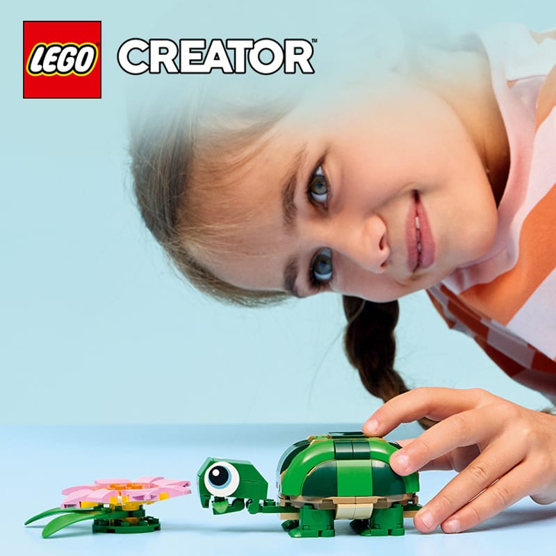 Schildpad met waterlelie - 10