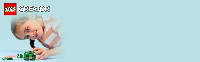 Schildpad met waterlelie - 12