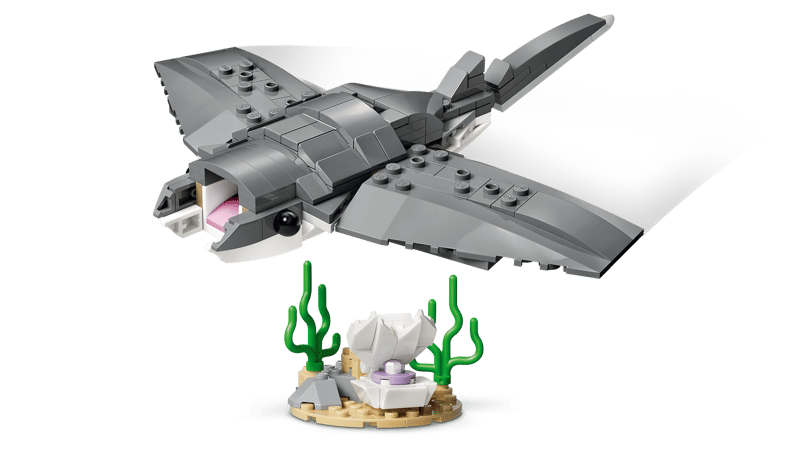 Woeste haai met schatkist - 5