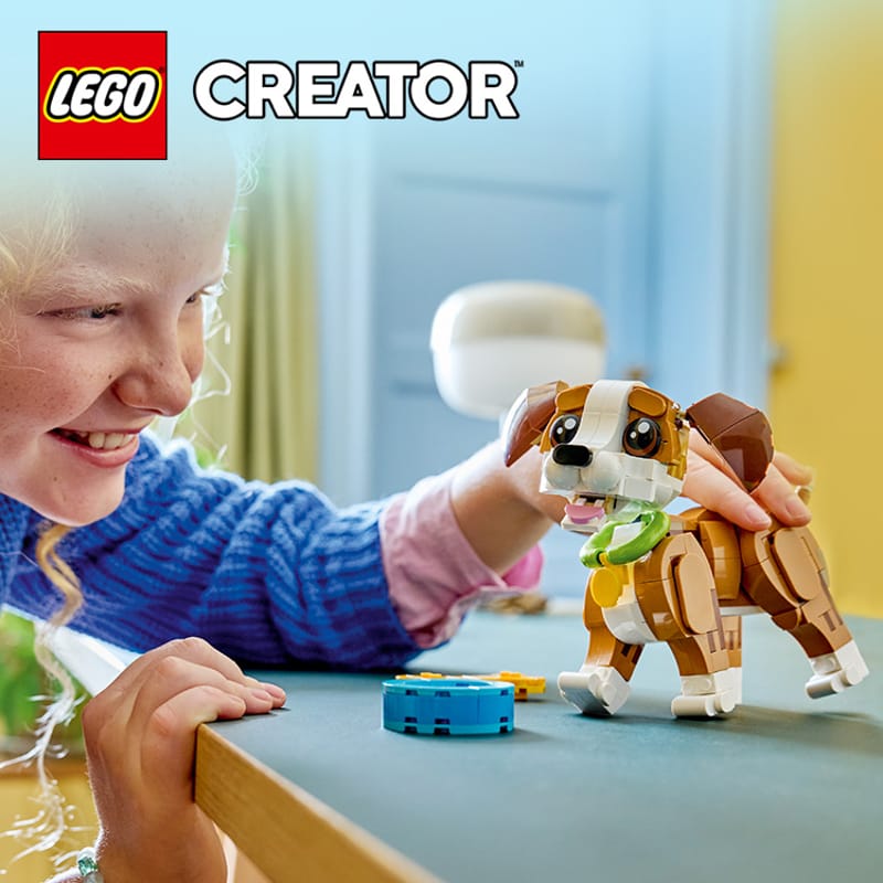 Schattige dieren: speelse puppy - 10