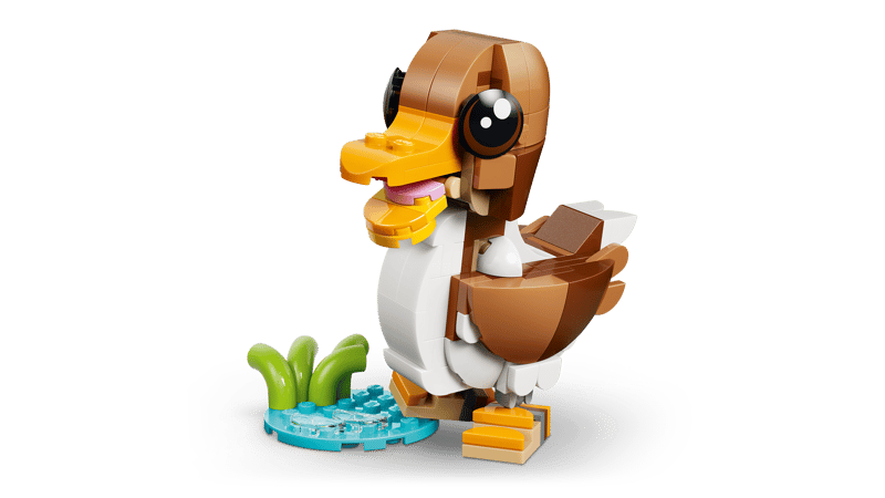 Schattige dieren: speelse puppy - 4