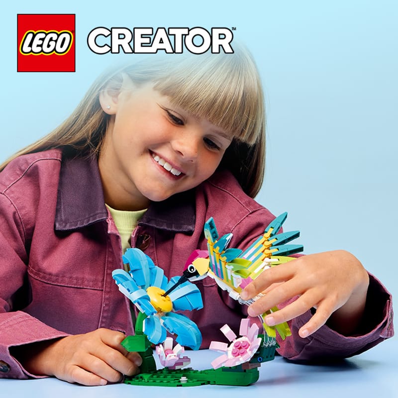 Wilde dieren: kleurrijke kolibrie - 10