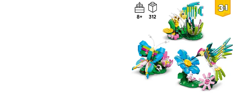 Wilde dieren: kleurrijke kolibrie - 14