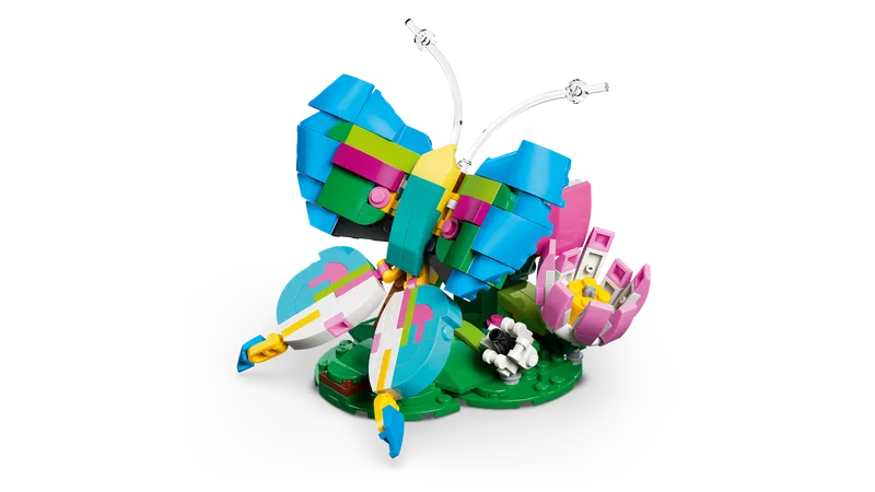 Wilde dieren: kleurrijke kolibrie - 3