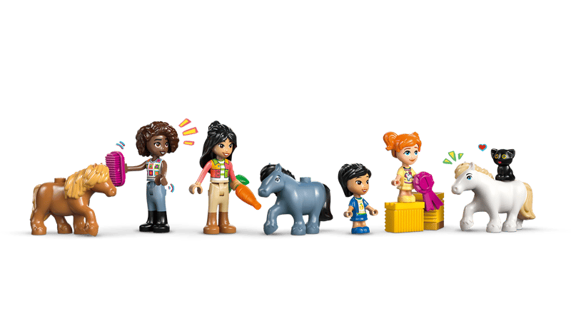 Ponyboerderij en stal - 3