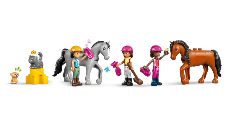 Paardenstal en manege - 3