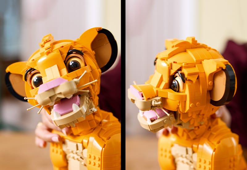 Jonge Simba de Leeuwenkoning - 6