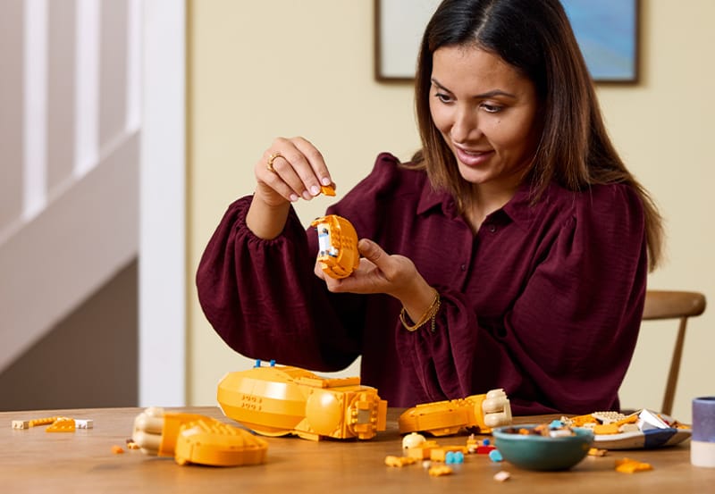 Jonge Simba de Leeuwenkoning - 8