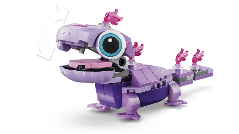 Olaf en Bruni's picknickplezier - 6