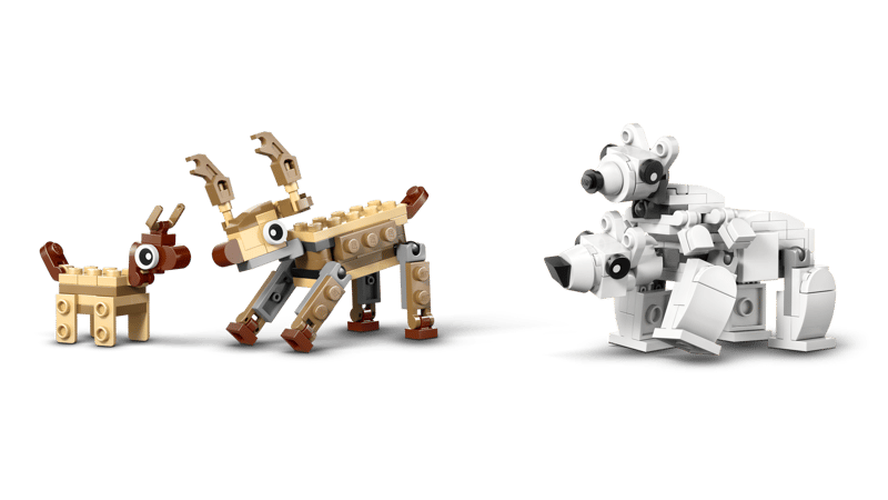 Natuurwetenschap en Techniek Dieren op d - 3