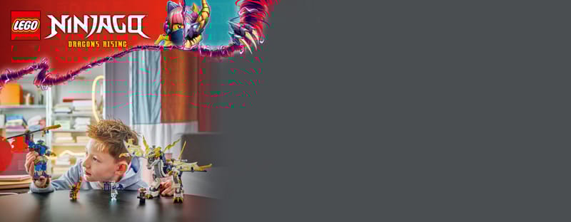 Rogue's mecha drakenrijder - 12