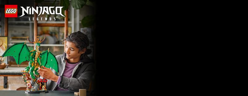 De drakenbewaker - 10