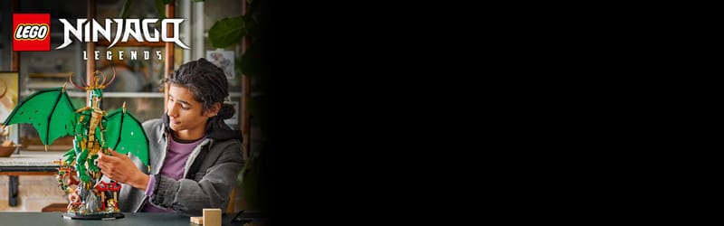 De drakenbewaker - 11