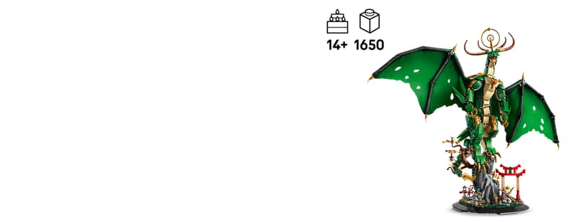 De drakenbewaker - 13