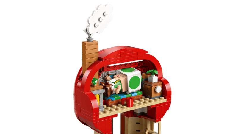 Toads huisfeestje - 6