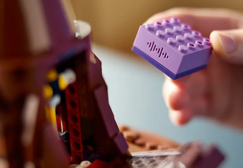 Pratende Sorteerhoed - 12