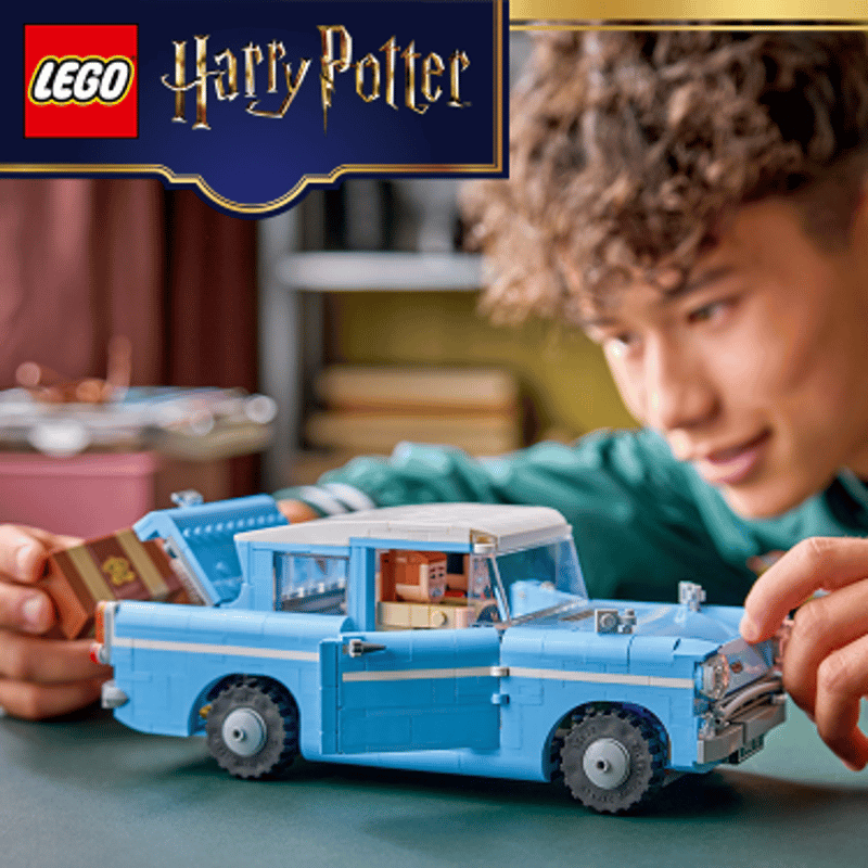 Betoverde vliegende Ford Anglia™ - 11