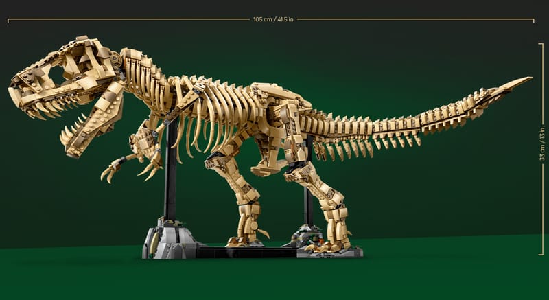 Dinosaurusfossielen: Tyrannosaurus rex - 8